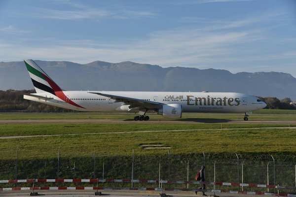 Wie kann man die Bindung mit seiner Katze stärken?