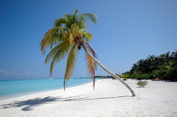 Wat zijn de milieuvriendelijke opties voor cruisereizen?