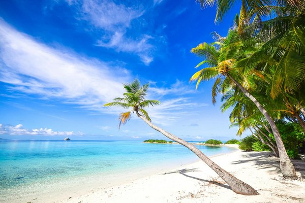 Hoe plan je een budgetvriendelijke cruisevakantie?